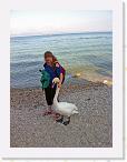 1180 Naama w Swan * 1936 x 2592 * (4.11MB)